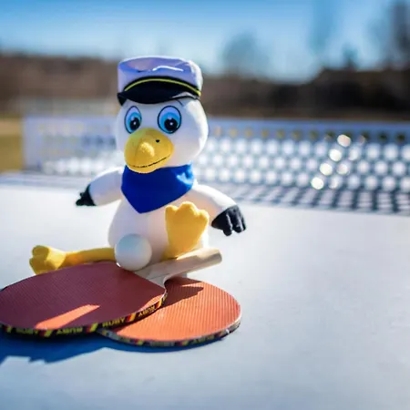 Lagovida Kapitänskajüte C Am Störmthaler Grosspoesna